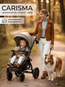 01_426788_carisma_beige (1)