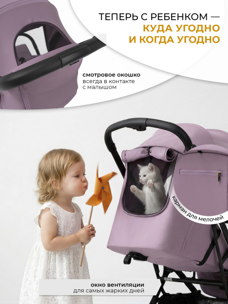 427235-sweet-baby-aura-rose-05
