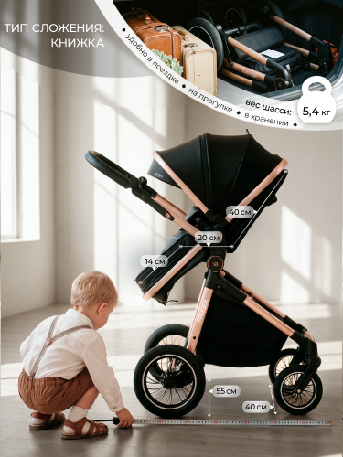427074-sweet-baby-ranger-3в1-black-gold-09