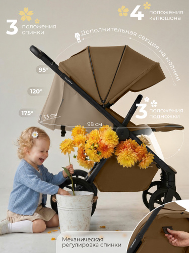 426726-sbl-elegante-d-brown-05