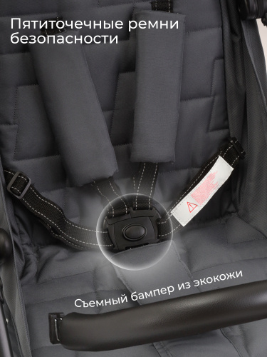 01_426787_carisma_grey (7)