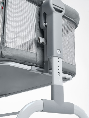 427649-sweet-baby-gioia-grey-14