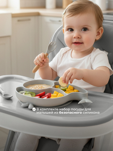 426953-sweet-baby-roma-gray-09