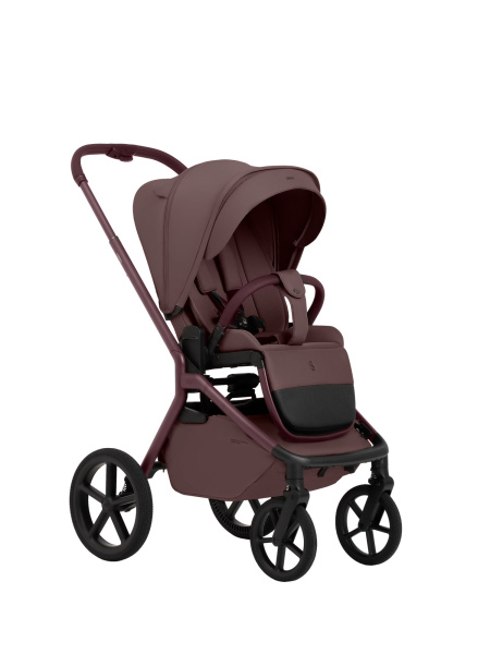 427731-sbl-orso-mokka-01