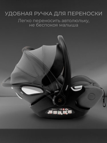 427437-sweet-baby-premier-grey-07