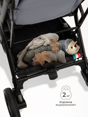 427355_sweet_baby_aura_plus_light_grey (92)