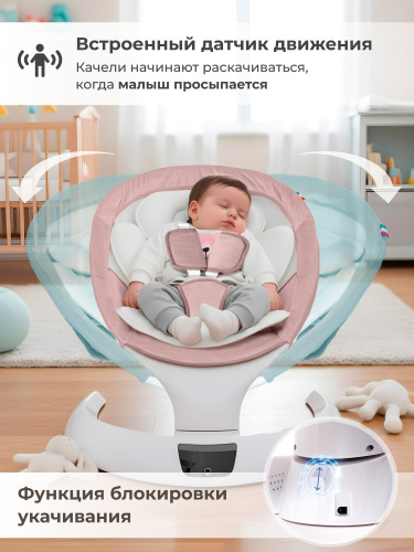 427372-sweet-baby-matteo-lux-rose-04